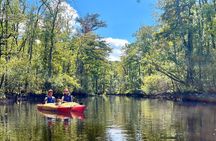 2-Hr Blackwater Kayak Tour just outside Charleston