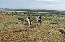 Relaxing Horse Riding Tour in Gran Canaria