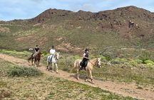 Relaxing Horse Riding Tour in Gran Canaria