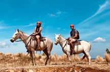Horseback Riding 2hrs - Dreams Las Mareas