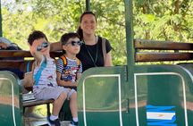 Private Tour 1-2 Day Tour: Both sides of the Iguazu Falls