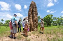3-Day Kakadu & Litchfield 4WD Camping Adventure from Darwin