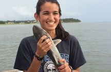 3 Hour Inshore Shark Fishing Trip in Hilton Head Island