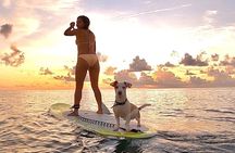 Sunrise Paddle Surf