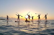 Sunrise Paddle Surf