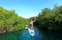 Paddle and Snorkel in Cenote - Riviera Maya