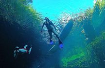 Paddle and Snorkel in Cenote - Riviera Maya