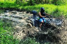 Half Day Private ATV & Shopping Adventure in Negril Jamaica