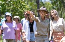 Crocodile Jumping Boat Cruise with Transfer from Darwin