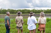 Crocodile Jumping Boat Cruise with Transfer from Darwin