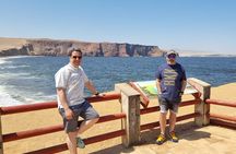 Ballestas Islands, Paracas Reserve & Skulls Museum Private Tour