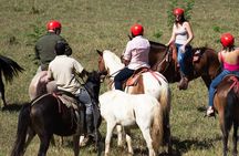 2 Hour Private Horseback Riding in Tarcoles Costa Rica