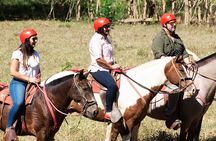 2 Hour Private Horseback Riding in Tarcoles Costa Rica
