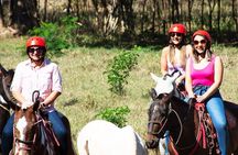 2 Hour Private Horseback Riding in Tarcoles Costa Rica
