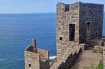 Full Day Private Tour of West Cornwall