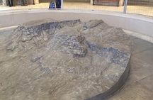 Masada & Dead Sea with Licensed Guide Full day Tour for Cruises