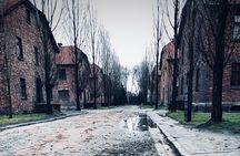 Auschwitz-Birkenau Guided Tour with Private Transport from Krakow