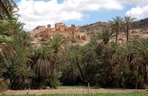 1 day guided tour to tiout tarodant from Agadir
