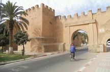 1 day guided tour to tiout tarodant from Agadir