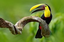 Costa Rica Package (Private)