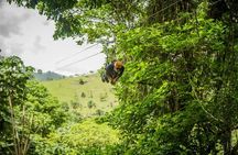 Zip Line in Punta Cana