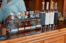 Tequila Day Trip