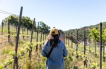Malibu: Guided Vineyard Hike with Photo Stops and Wine