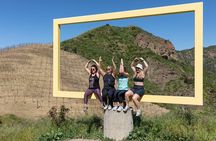 Malibu: Guided Vineyard Hike with Photo Stops and Wine