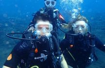 4-Hour Tulamben Private Diving USAT Liberty Ship Wreck and Coral