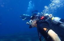 4-Hour Tulamben Private Diving USAT Liberty Ship Wreck and Coral