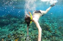 Manta Bay Snorkeling Adventure with Kelingking Beach Nusa Penida All Inclusive