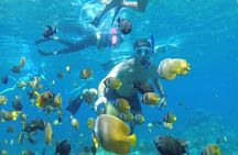 Manta Bay Snorkeling Adventure with Kelingking Beach Nusa Penida All Inclusive