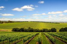 Build your own Unique Private Winery/Brewery Tour at the Margaret River region