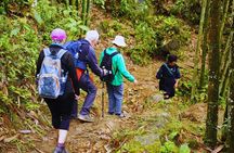 Overnight homestay in Sapa 2 days 1 night