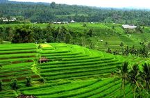Full-Day Private Tabanan Tour in Bali