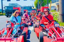 Flagship 2-Hours Official Street Go-Kart Tour - Tokyo Bay Shop