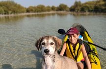 Mangrove Kayaking Purple Island Adventure