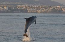 Walk and dolphin watching in Fuengirola + 1 drink