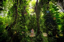 Xcaret Park Day Trip, transportation and Cultural Night Show