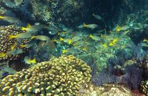 New snorkeling route in La Paz