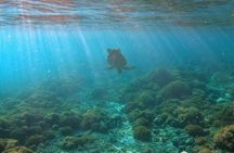 New snorkeling route in La Paz
