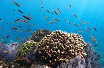 New snorkeling route in La Paz