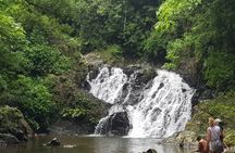 6-Hour Culture and Nature Tour in Embera Tribe - All Included