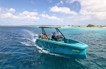Private 2 hour boat excursion along the coast