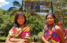 6-Hour Culture and Nature Tour in Embera Tribe - All Included