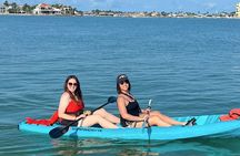 Dolphin and Manatee Tour of Marco Island by Kayak or SUP