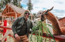 The Best of Peru 6-Days: Cuzco, Machupicchu, Puno & Lake Titicaca