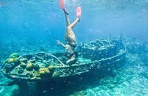 Irie Half-Day Snorkel and Lunch