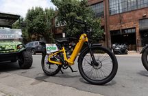 Guided E-Bicycle Sightseeing Tour