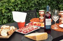 Vineyard tour with tasting of 6 Garda Wines